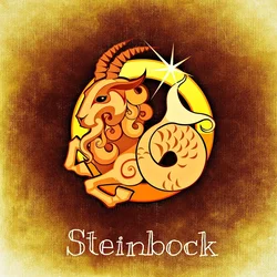 steinbock